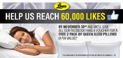 2 pack pillows from Leons