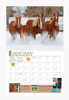 horse care calendar