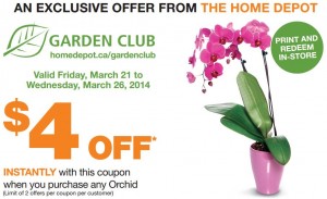 coupon-orchids-home-depot1