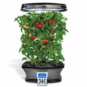 free-led-tabletop-garden-giveaway