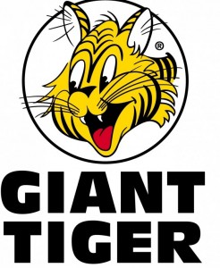 free-giant-tiger-flash-giveaway