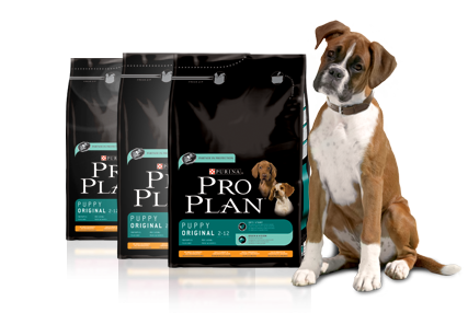 proplan contest