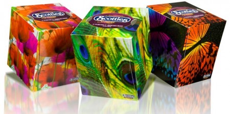 scotties-cube-design-contest